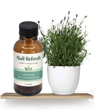 Nail Refresh Reviews 2026 — Botanical Foot Fungus Oil Bottle Natural Toenail Treatment