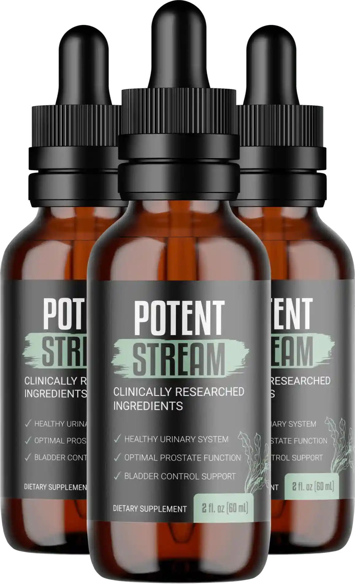 PotentStream Reviews Bottle Details 2026 9 Ingredient Prostate Liquid Dropper Saw Palmetto Shilajit
